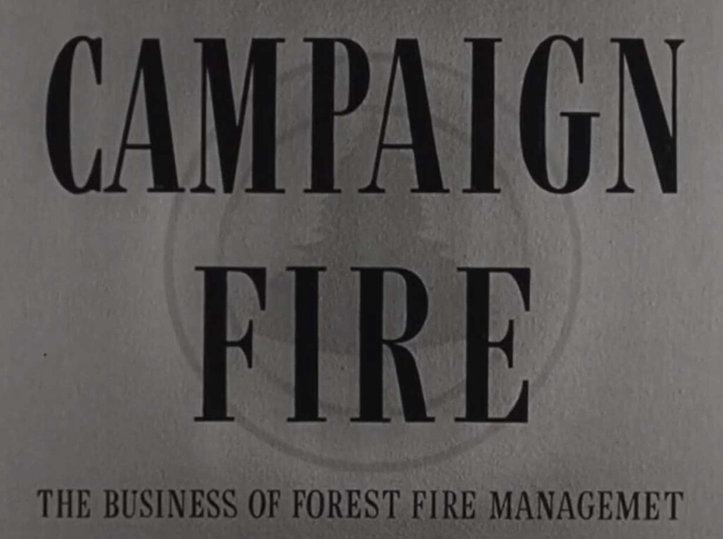 campaign-fire