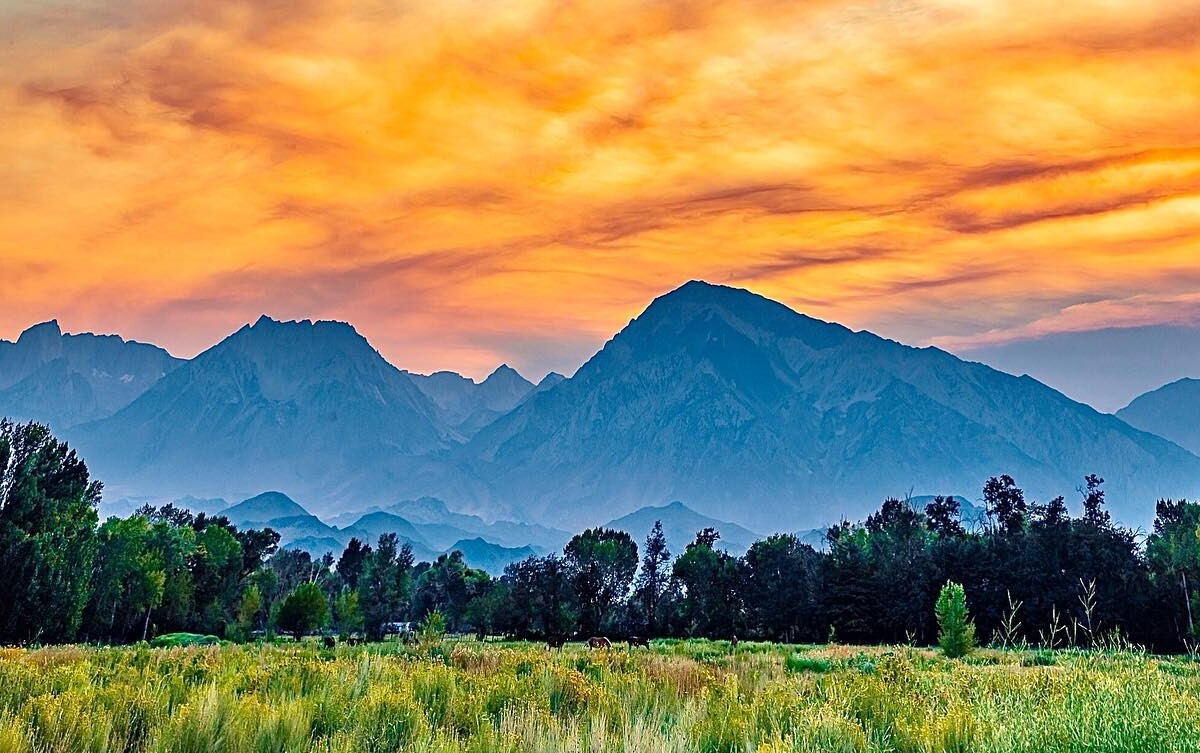 Vibrant sunset over a lush green field in Bishop, California, with tall mountains of the Eastern Sierra and a dramatic sky in the background. visit bishop