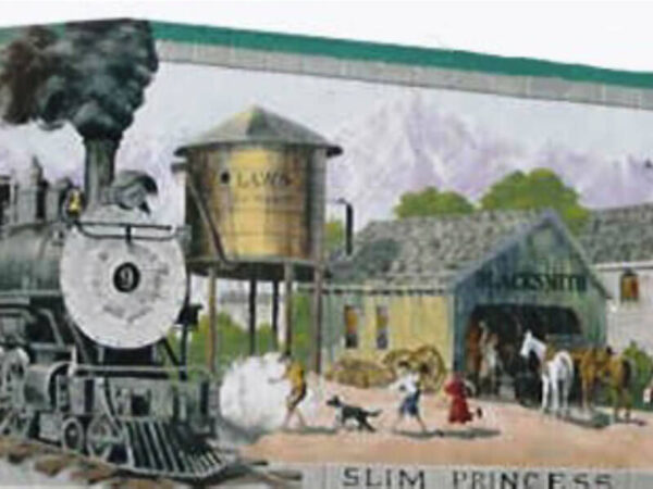 The Slim Princess