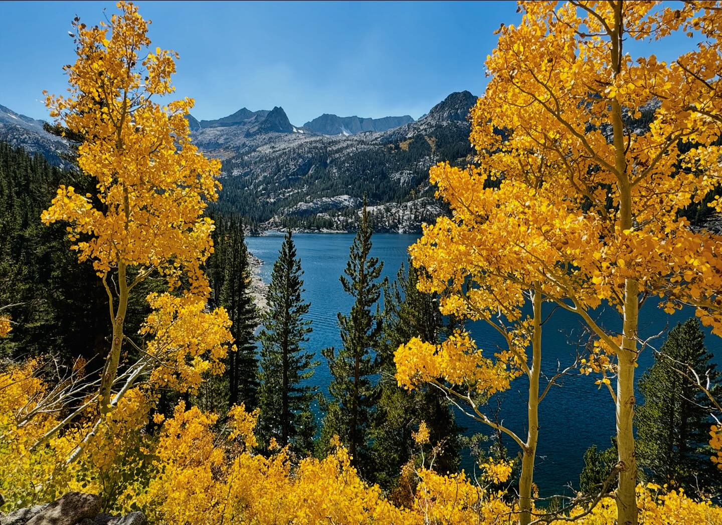 Golden autumn trees frame a serene lake with mountains in the background under a clear blue sky. visit bishop