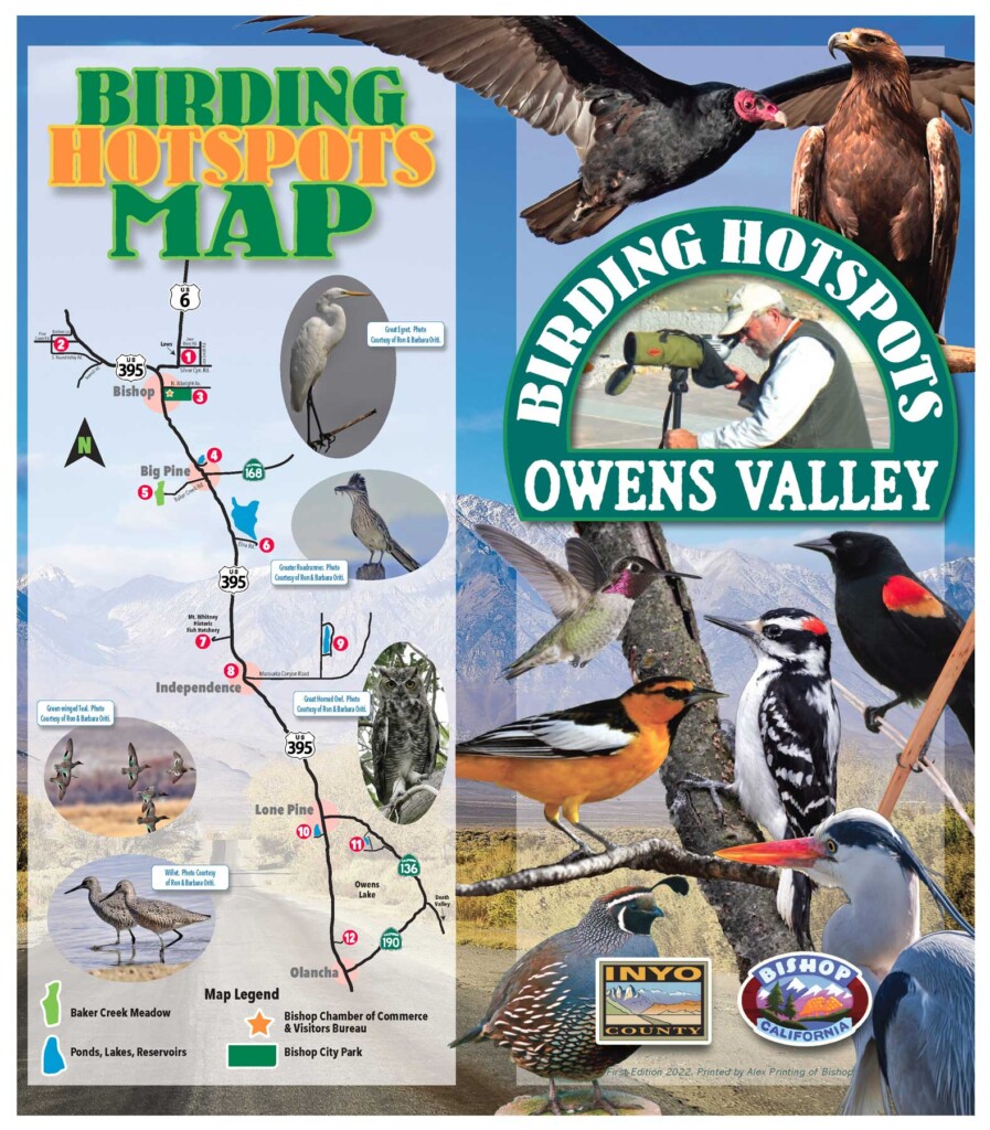 Birding-Hotspots-Map-Bishop