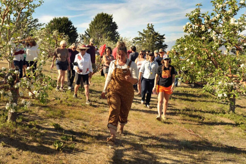 Rachel Kulchin touring the orchards at the Blue Heron Project