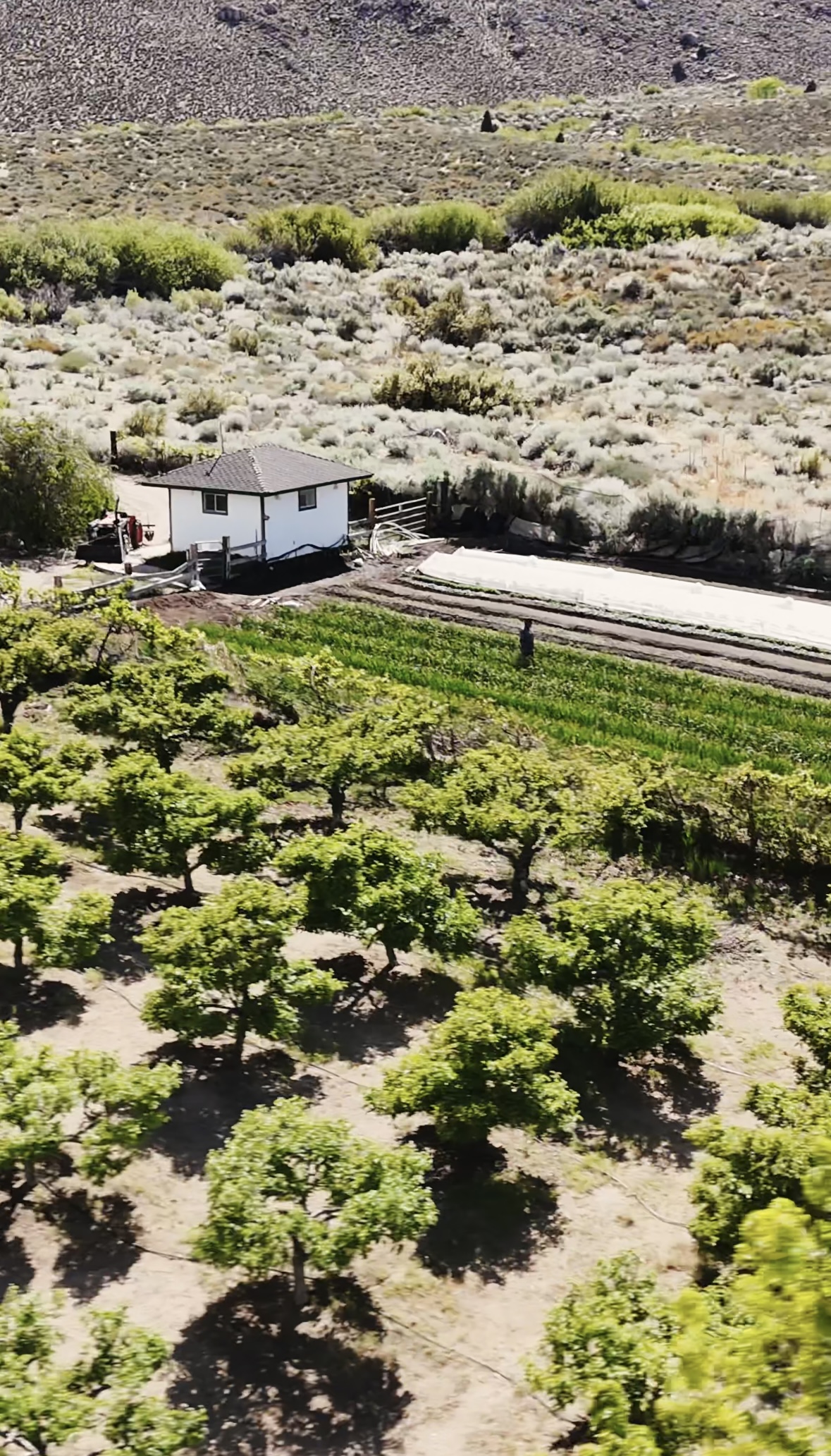 Aerial shot of Blue Heron project farm