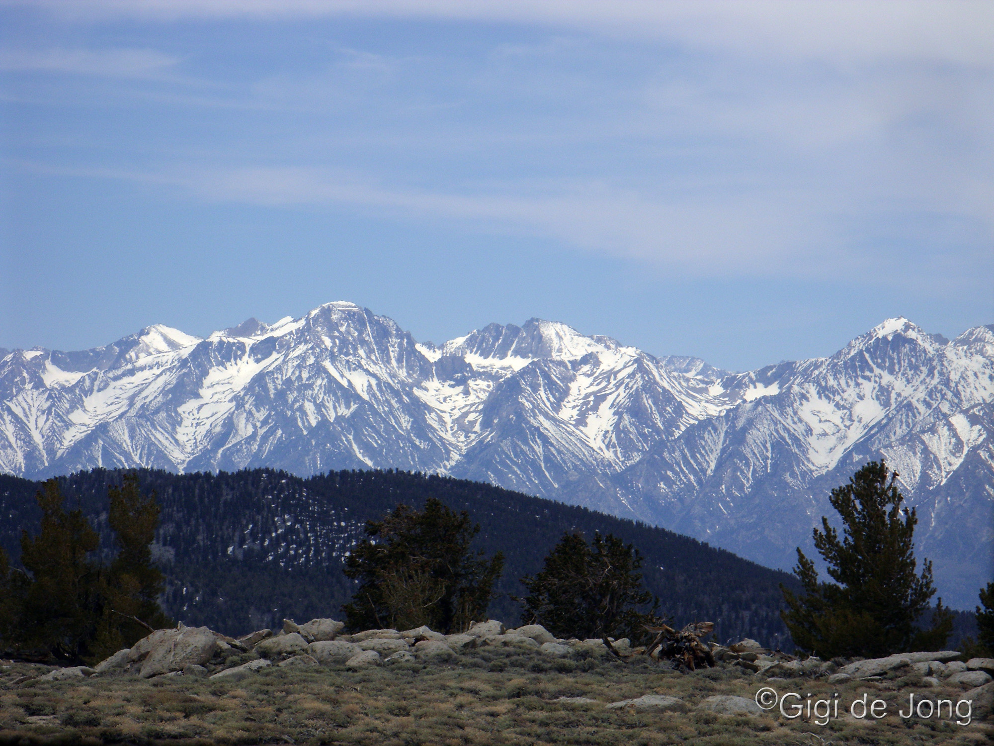 the Sierra Nevada Mountains from Papoose Flat