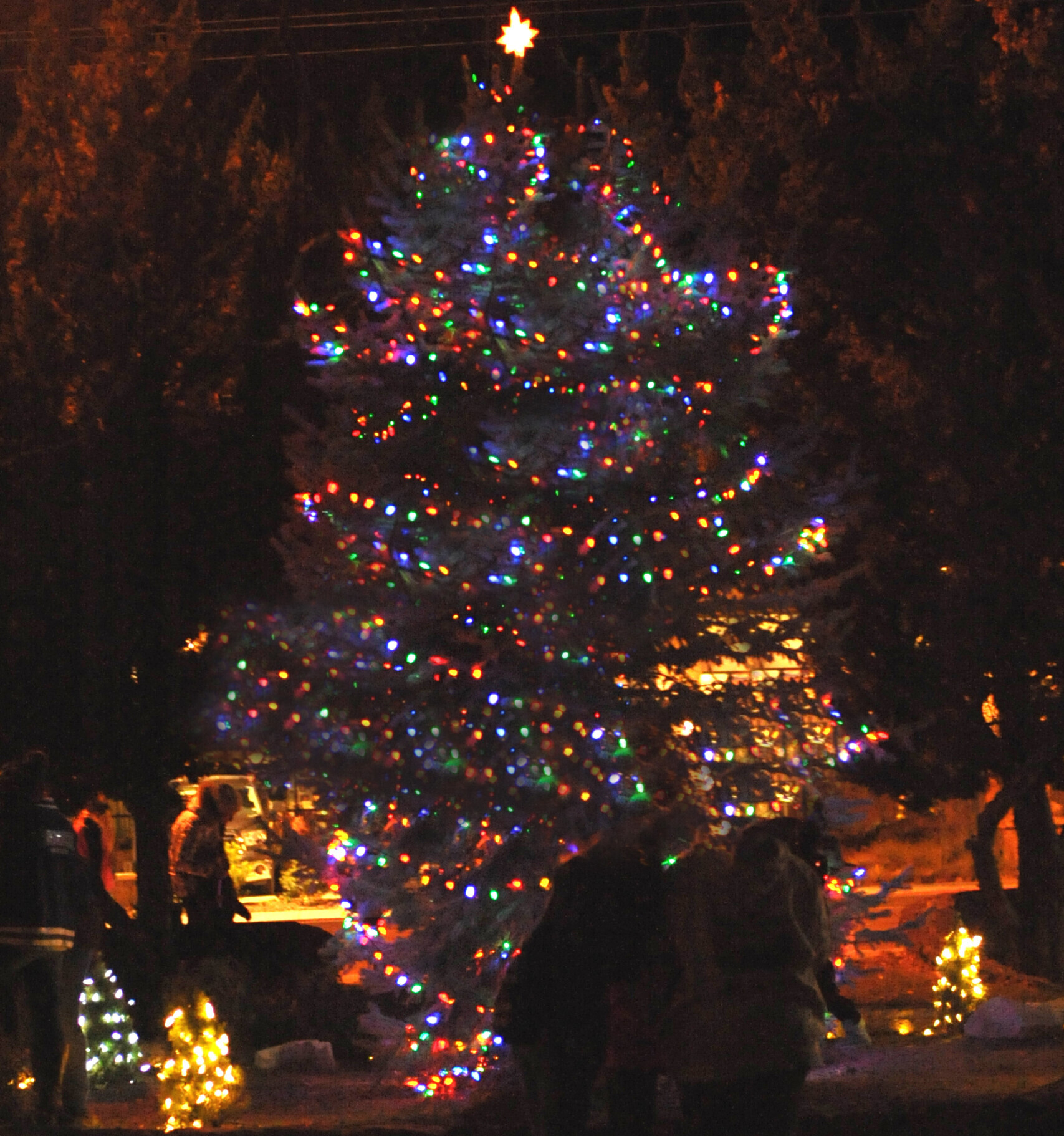 Tree Lighting 2016 Gayla Wolf Christmas tree lighting at Bishop City Park