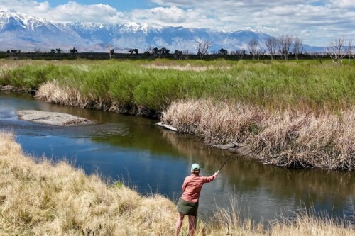 woman fishing in the Eastern Sierra