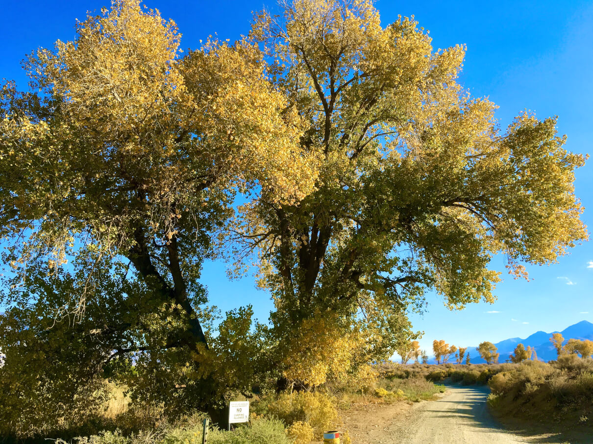 Buckley Ponds