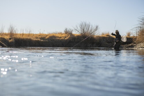 fishing on the Lower Owens River