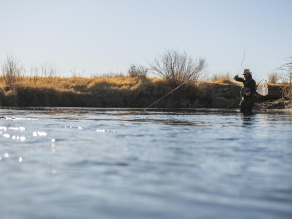 fishing on the Lower Owens River