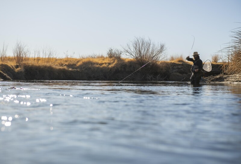 fishing on the Lower Owens River