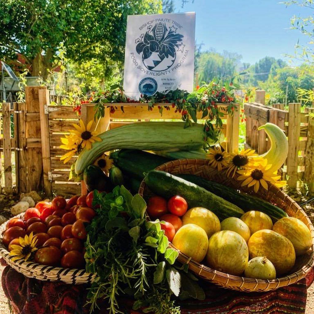 Baskets of produce at Bishop Paiute Tribe's Food Sovereignty program,